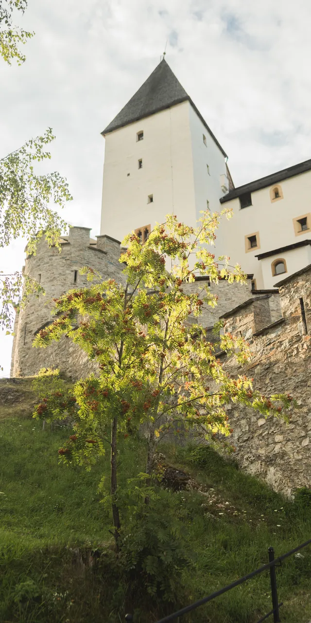 Mittelalterliche Steinburg mit Turm und Torbogen, umgeben von Bäumen im Sonnenlicht
